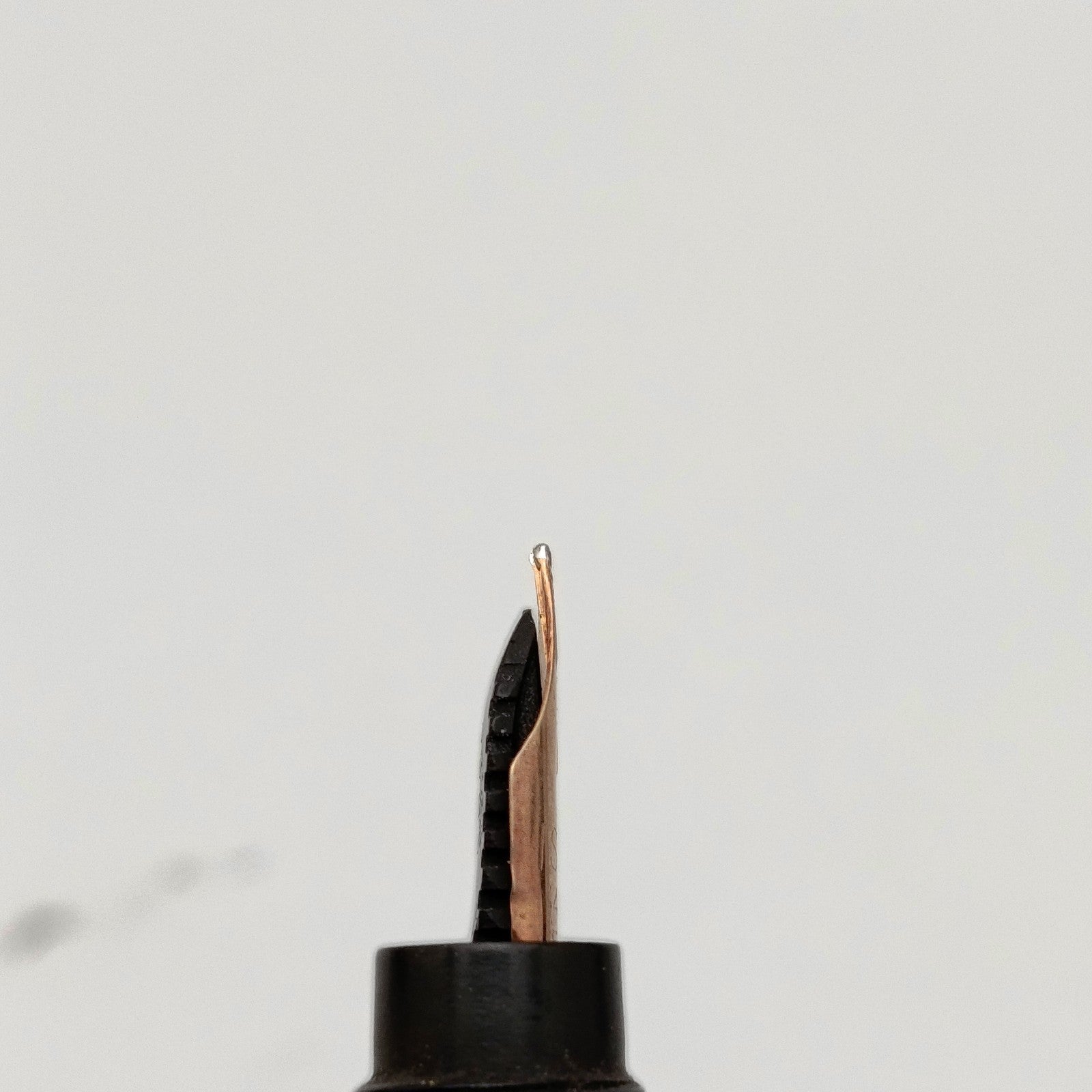 Image #12
