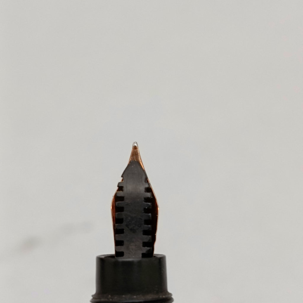 Image #10