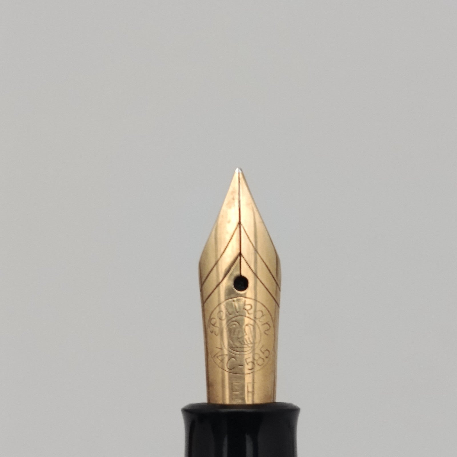 Image #12